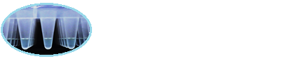 微信图片_20250103133000.png